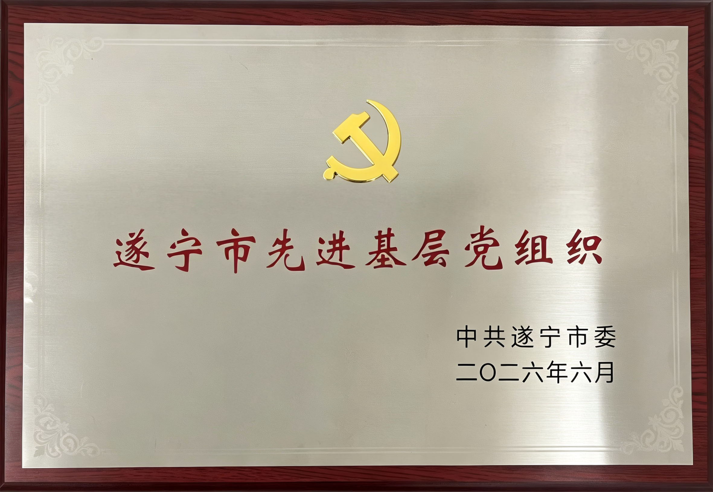 党旗引航庆七一 凝心聚力促发展